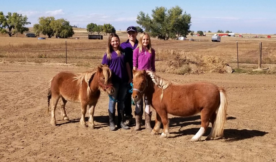 Coach and mentor with two teen girls and two mini horses